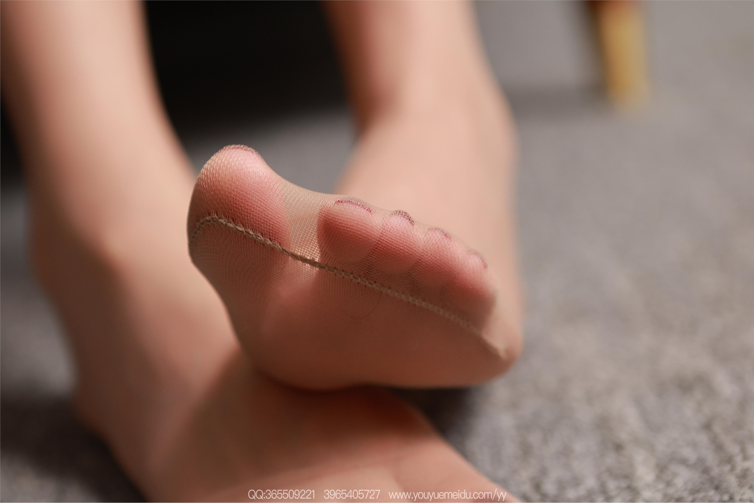 IESS异思趣向  2025.11.18 丝享家2214：团团《美腿肉丝》